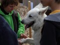 Doktorspiel 21 09 08 006