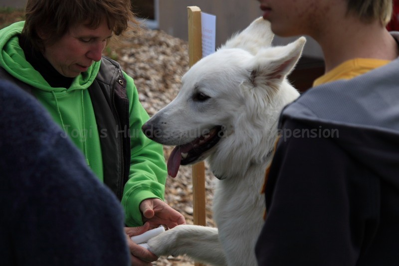 Doktorspiel 21 09 08 006