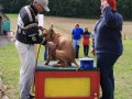 Doktorspiel 21 09 08 010