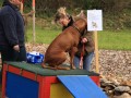 Doktorspiel 21 09 08 015