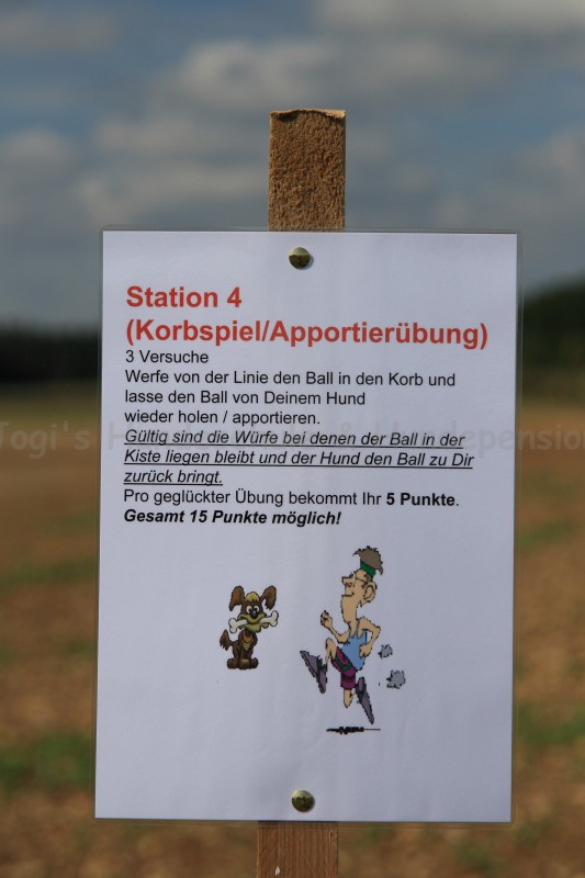 Korbspiel 21 09 08 004