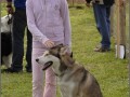 2008 SF Dittus 012