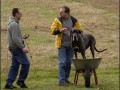 2008 SF Dittus 014