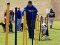 20m Slalom 21 09 08 012