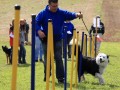 20m Slalom 21 09 08 013
