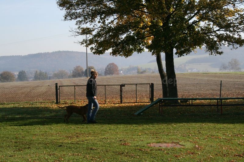 2008 10 18 Teamtest klein 0020