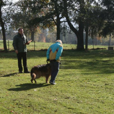 2008 10 18 Teamtest klein 0048