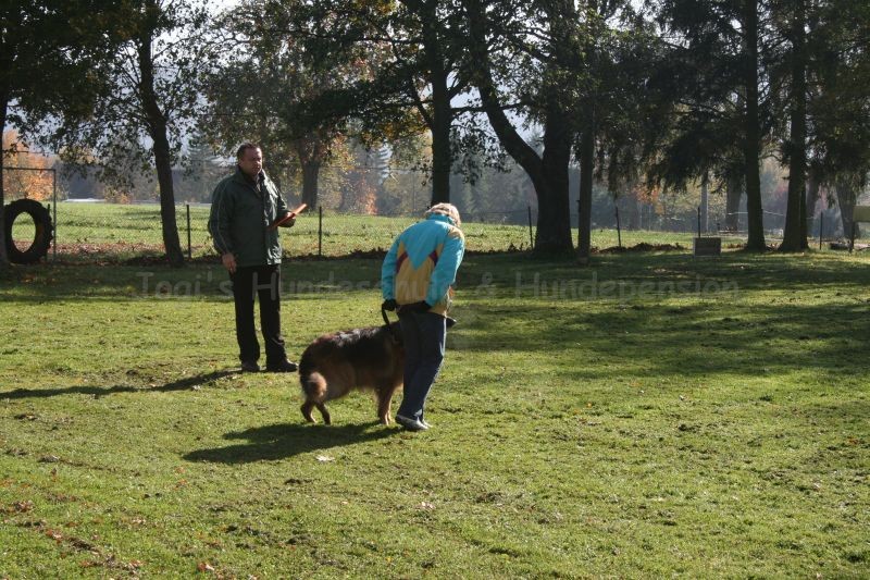 2008 10 18 Teamtest klein 0048