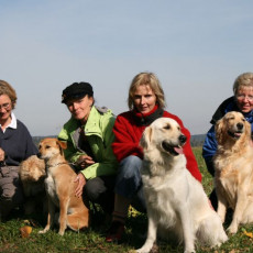 2008 10 18 Teamtest klein 0088