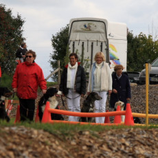 Gruppe2 21.09.2008 14 23 46