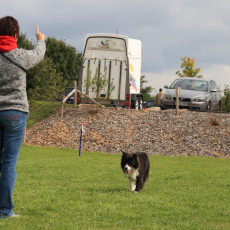 Gruppe3 21.09.2008 14 45 26