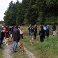 Gruppe4 Quadrille 21 09 08 002 21.09.2008 10 55 11