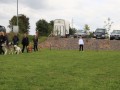 Gruppe4 Quadrille 21 09 08 002 21.09.2008 15 02 56