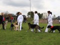 Gruppe4 Quadrille 21 09 08 002 21.09.2008 15 03 33