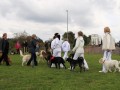 Gruppe4 Quadrille 21 09 08 002 21.09.2008 15 03 47