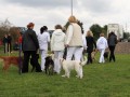 Gruppe4 Quadrille 21 09 08 002 21.09.2008 15 03 49