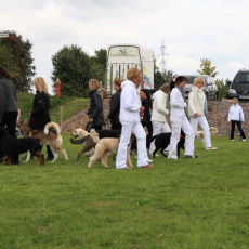 Gruppe4 Quadrille 21 09 08 002 21.09.2008 15 04 23