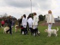 Gruppe4 Quadrille 21 09 08 002 21.09.2008 15 04 36