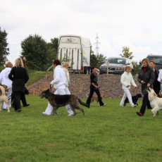 Gruppe4 Quadrille 21 09 08 002 21.09.2008 15 06 23