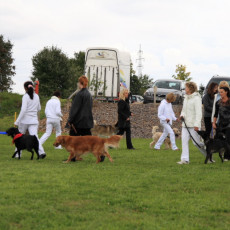 Gruppe4 Quadrille 21 09 08 002 21.09.2008 15 06 27