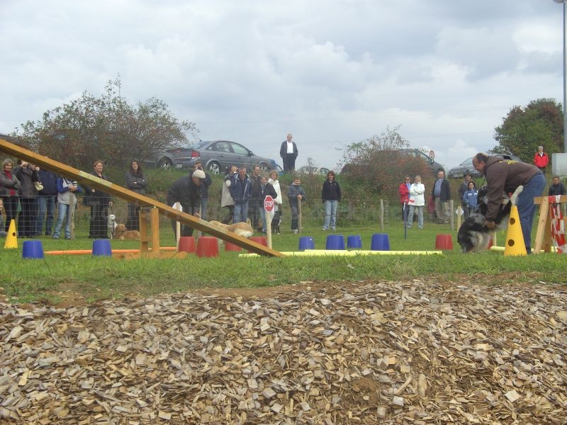 Sommerfest 2008 i 020