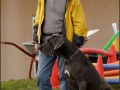 2008 SF Dittus 040