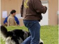 2008 SF Dittus 0422