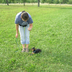 Uschi s Vormittagsgruppe0005 i