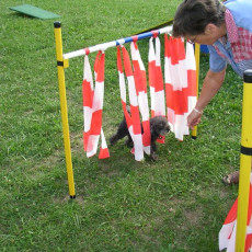 Uschi s Vormittagsgruppe0016 i