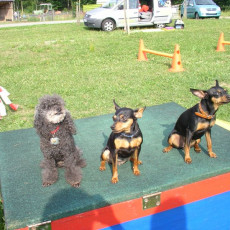 Uschi s Vormittagsgruppe0043 i