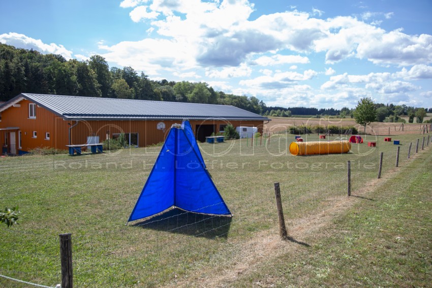 Jogis Hundeschule 002