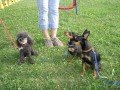 Uschi s Vormittagsgruppe0011 i