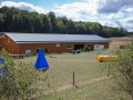 Jogis Hundeschule 003