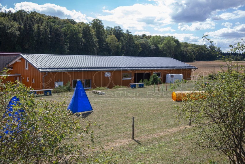 Jogis Hundeschule 003
