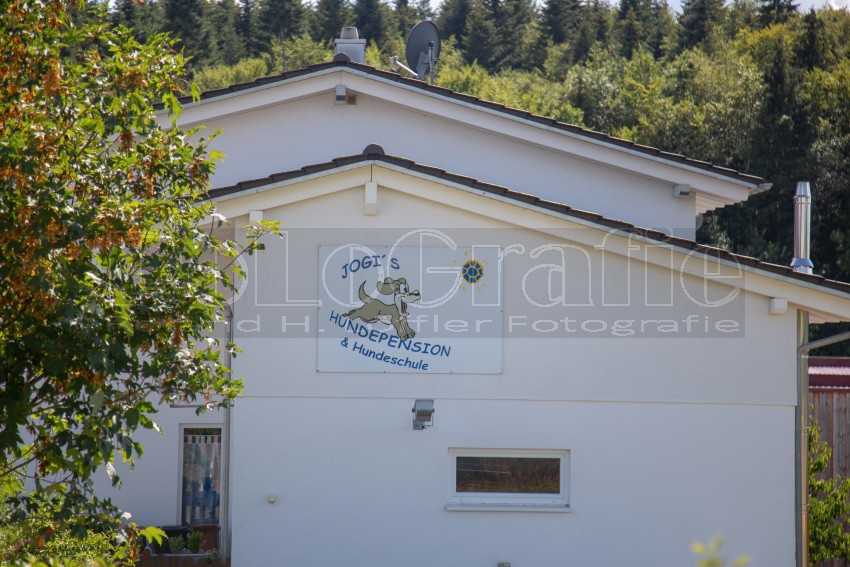 Jogis Hundeschule 004