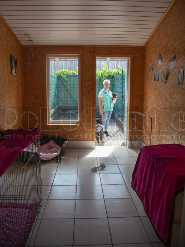 Jogis Hundeschule 006