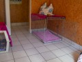 Jogis Hundeschule 010