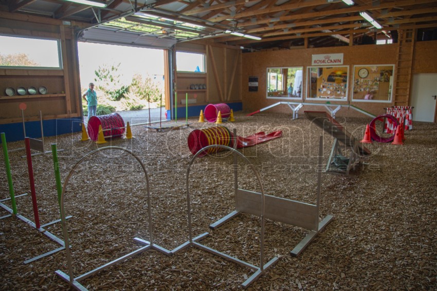 Jogis Hundeschule 017
