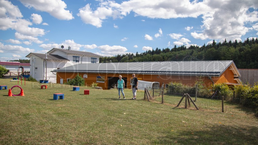 Jogis Hundeschule 020