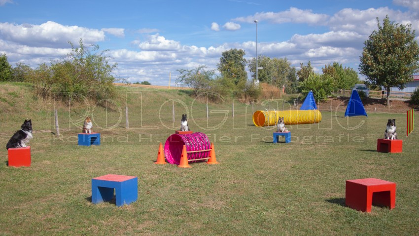 Jogis Hundeschule 037