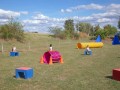 Jogis Hundeschule 038