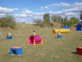 Jogis Hundeschule 041