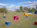 Jogis Hundeschule 042