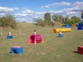 Jogis Hundeschule 043