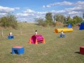 Jogis Hundeschule 045