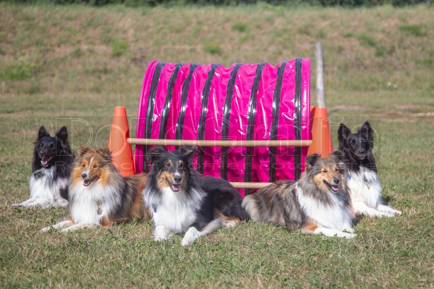 Jogis Hundeschule 046
