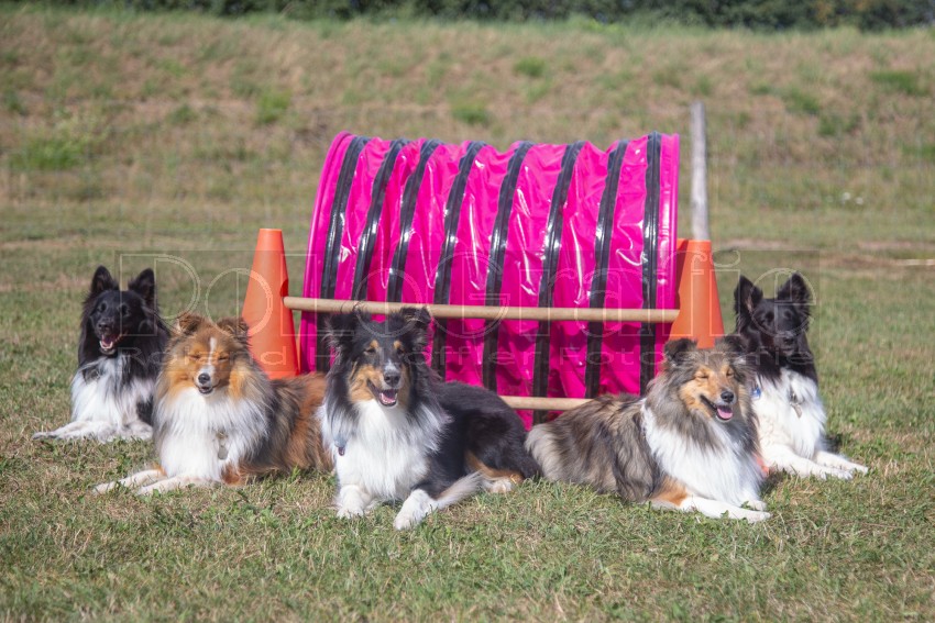 Jogis Hundeschule 047