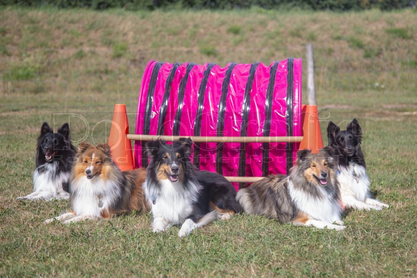 Jogis Hundeschule 048