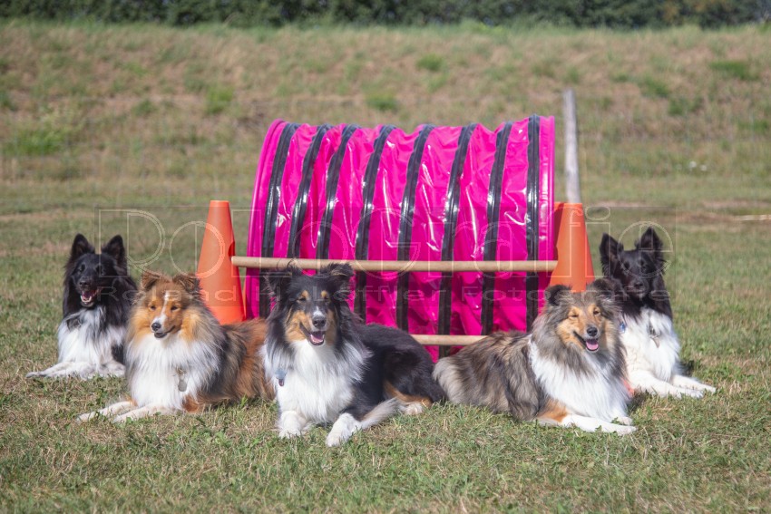 Jogis Hundeschule 049