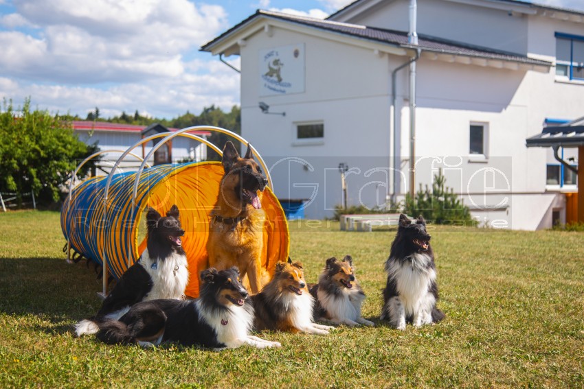 Jogis Hundeschule 058